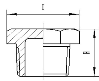 Stainless Steel Threaded Hex Plug